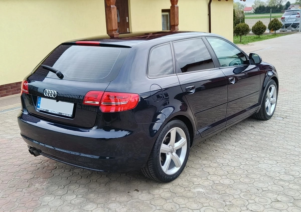 Audi A3 cena 22999 przebieg: 263000, rok produkcji 2008 z Gozdnica małe 529